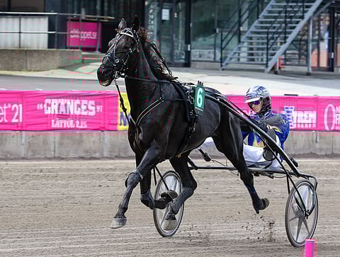 Galileo Journey kilpaili Elitloppet-perjantain oppilaslähdössä Katja Melkon tallista Iivari Nurmisen ajamana.