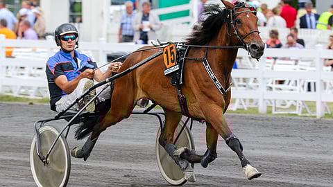 Viljami Pylkkänen pääsi Elliot Webin ohjaksiin Killerillä. Mikkelissä kesällä otetussa kuvassa ohjissa valmentaja Juha Pylkkänen.