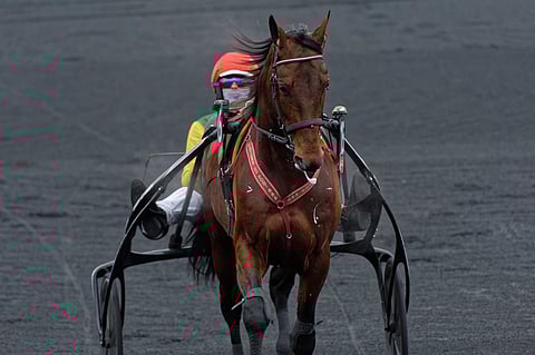 Davidson du Pont on luonnollisesti korkeimmalla Elitloppet-hevosten toivelistalla. Kuva: HU arkisto