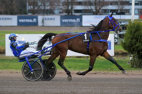 Zizou on ollut kuudessa Suomen startissaan kahdesti kolmas ja kahdesti neljäs, mutta voittotili on vielä avaamatta.