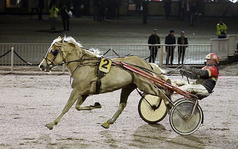 Alvar Hem valloitti kahdesti Vermon tammikuussa 2020 Elina Partasen valmentamana ja Tapio Perttusen ohjastamana.