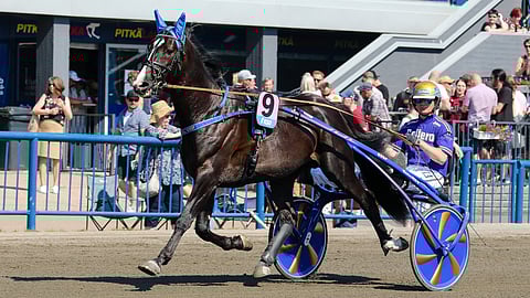 Short In Cash osallistui Kouvolan Kymi Grand Prix'hin kesällä 2021.