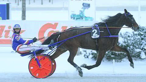 Juiceman aloitti viime kautensa vahvasti kahdella T75-voitolla tammikuussa.