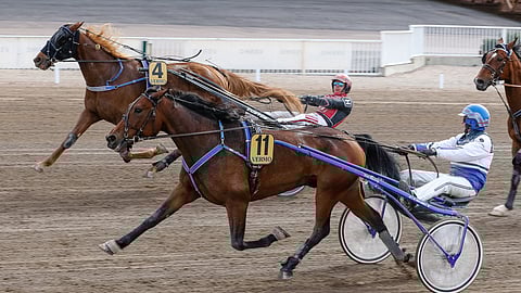Marschall Matchin viime voitto on yli vuoden takaa Vermon Finlandia-päivän kolmelta kilometriltä.
