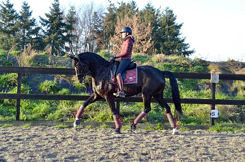 Salomea, Mikaela Soratien tallin uusin vahvistus.