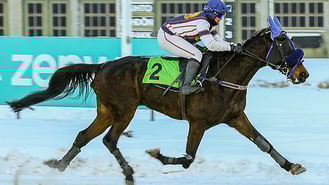 BWT Ellospankin kausi alkoi heti voitolla montésta vuoden ensimmäisenä päivänä.