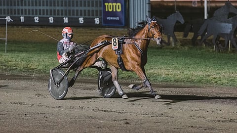 Ilos Sansibarin Suomessa alkanut voittoputki jatkui ensimmäisessä Ruotsin startissa.