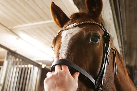 Turparemmin kireyden mittaaminen. Asiasta on useampi näkökulma, miten päin sormet asetetaan.