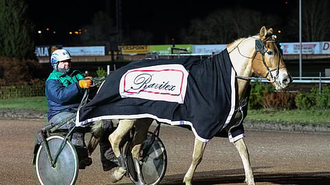 Tämän vuoden neljä starttia ovat tuoneet 12-vuotiaalle Hulluduunarille kaksi totosijaa.