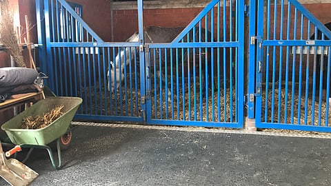 Tarvitsevatko suomalaiset talliyrittäjät omasta mielestään omaa etuaan valvovan yhdistyksen? Tätä on tarkoitus selvittää ensi viikon torstaina.