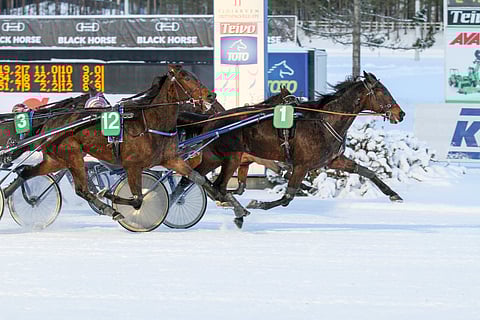 Hard Chip kurotti T75-voittoon Teivossa tammikuussa 2019.