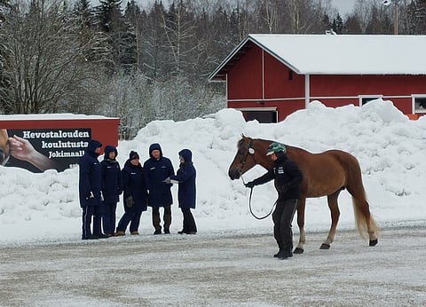 Patri Filatoff esitti Vieskoffia orinäyttelylautakunnalle.