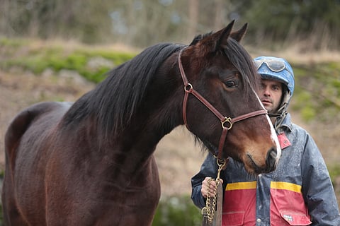 Kuvassa William Pinen kanssa poseeraava Danilo Grasso ajoi valmentamansa Hildingin voittoon Jokimaalla.