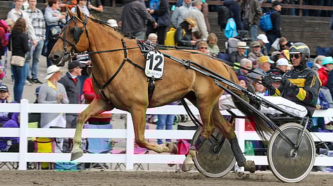 Tauolta palaava Vauhti Teppo on ideavarma ailahtevaisuudestaan ja tauostaan huolimatta.