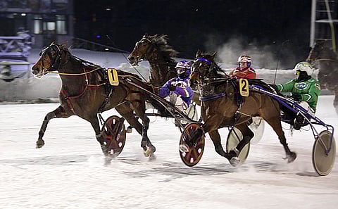 Lapland Royal tuli suosikkien välistä voittoon niin lujaa, että suhina kävi.
