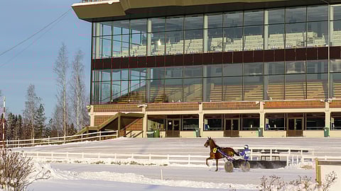 Jokimaan ravikeskus ja Lahden Pelicans syventävät yhteistyötään.