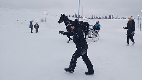Sari Jauhojärvi pääsi tuulettamaan, kun talli Saxoi kirmasi puoliso Jarmo Männyn ajamana ykköseksi.