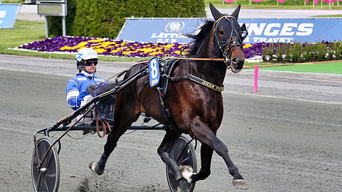 Önas Prince on kerännyt Ruotsin ikäluokkalähdöistä yli 8 miljoonan kruunun voittosumman.