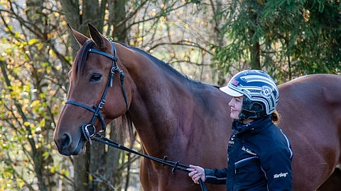 Staro Miamin ja sen hoitajan Etta Pakkasen tiet erosivat sunnuntaina, kun tamma lähti Ranskaan.