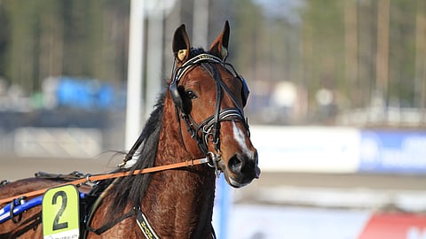 Reilut 12 000 euroa tienannut Highlove Tech myytiin Ruotsiin.