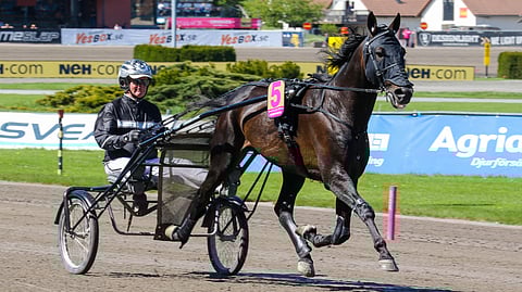 Gareth Boko kilpaili vuoden 2022 Finlandia-ajossa Jerry Riordanin tallista. Nyt ura jatkuu Hannu Korvelta.