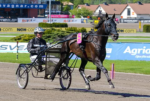 Jerry Riordanin valmentama Gareth Boko on tulossa Finlandia-Ajoon.