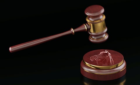 Lukijan kynä: Lainlaatijoiden on jalkauduttava käytännön tasolle