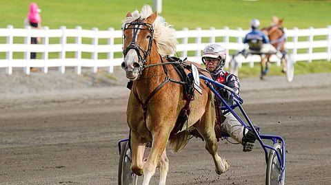 Larkko on noussut elämänsä kuntoon ja on kierroksen ensimmäinen tukipilari.