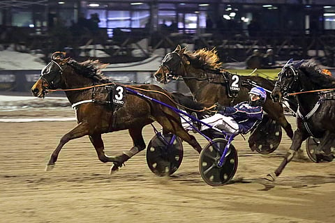 Janne Korven voittama Bee Combo oli paras selvällä marginaalilla.