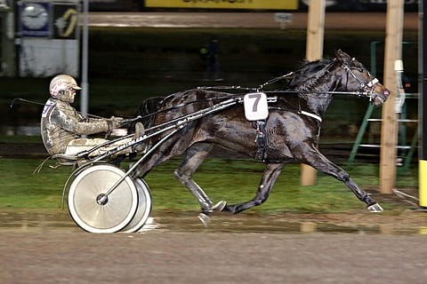 Antti Teivainen palaa tänään Luciano Brynen ohjiin. Valjakko haastaa suursuosikki Corazon Combon.