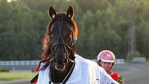 Atupem on kilpaillut Joensuussa kahdeksan kertaa ja voittanut joka kerta.