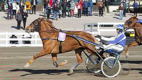 Ciiran Tähti kiiruhti kärkipaikalta muiden alta pois.
