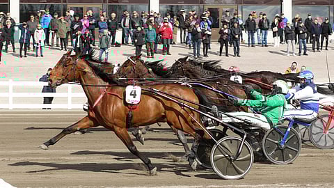 Willow Pride kesti kaiken Best Ladyssä.