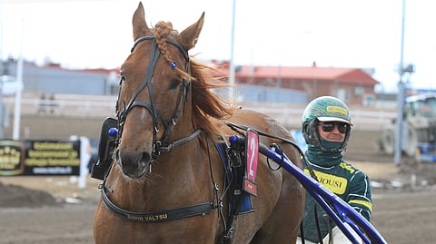 Siirin Valtsu karkasi Satakunta Seniorin sankariksi.