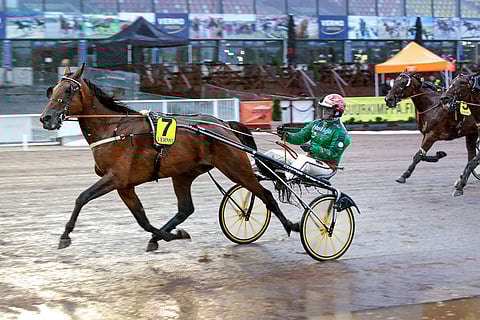 Stoneisle Sagan tuorein voitto on viime elokuulta Vermosta Hannu Torvisen ajamana. Kouvolassa ohjissa on Jukka Torvinen.
