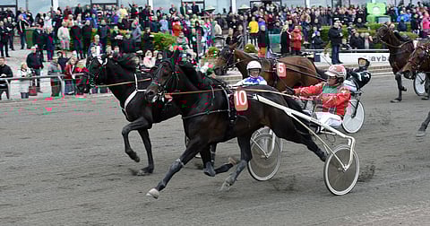 Tycoon Conway Hall voitti Copenhagen Cup -päivän 5-vuotiseliitin 7 vuotta sitten.