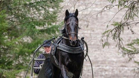 Työmies ja tähti – Atupem tietää missä kohtaa terävyyttä tarvitaan