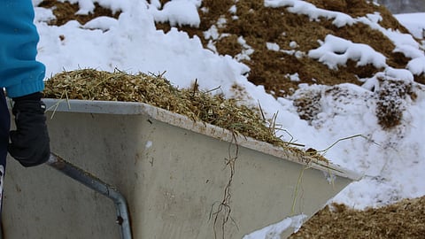 Hevosalan työntekijäpula on Euroopassa yhteinen