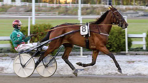 Kiikku's Giant on ideavihjeen varma.