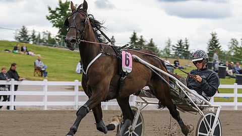 Mika Taittosen River King on sopivassa lähdössä ykkösradalla ja pystyy tauoltakin voittoon.