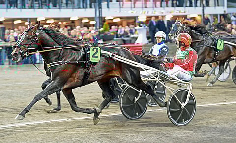 Extreme voi valmistautua paineitta sekä Paralympiaravien finaaliin että Elitloppetiin.