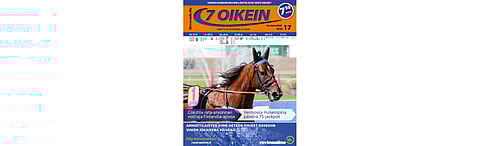 Hieno Finlandia-viikonloppu ja paljon muuta