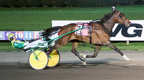 Lovedbythemasses pinkoi kauden viidenteen voittoon ja teki toisen kärkiajan, kyydissä Tim Tetrick. Kuva: