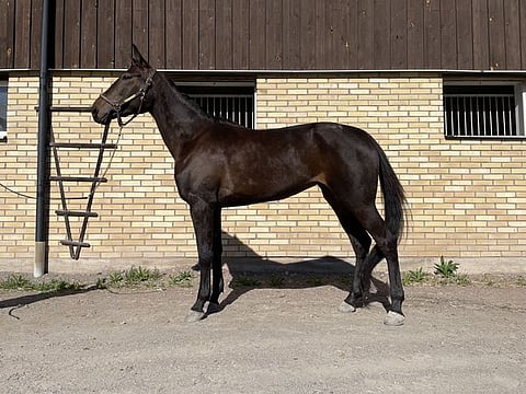 Descent Kronos, kuva huutokauppasivuilta.