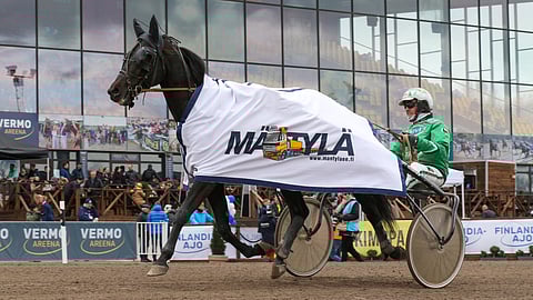 Salam Aleikum on voittanut uransa seitsemästä Vermon startista neljä. Rattailla jatkava Ari Moilanen taistelee maan pääradan ajajaliigan voitosta. Vihtiläisohjastajalla on Santtu Raitalan tavoin 43 Vermon voittoa tältä vuodelta, mutta Raitalalla on kakkossijoja yksi enemmän.