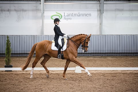 Anni Plith ja Midt-West Zalando.