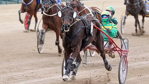 Club Nord Elit pakeni keulasta Toto75-pelin avauskohteen ykköseksi.