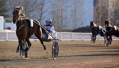 Magical Princess irtosi karsinnassa muista herkällä tyylillä.
