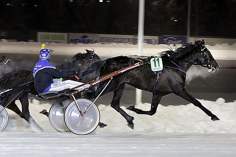 Heros du Monde tuplasi voittosummansa helmikuussa Vermossa ja lähtee toivepaikalta Pilvenmäki Specialin finaaliin.