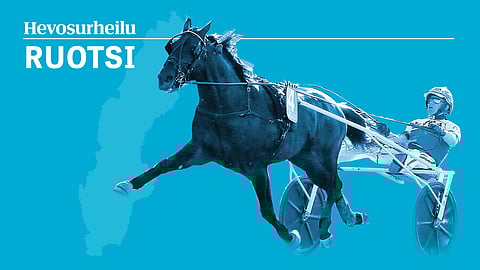 Rommen pääsiäisravit siirretään muualle pääntauti-epidemian vuoksi.